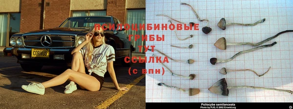 экстази Аркадак